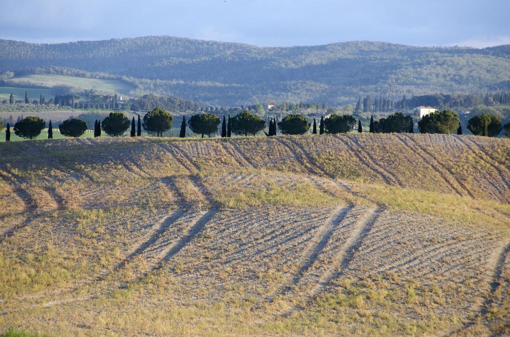 Agriturismo Poggio Bonelli Castelnuovo Berardenga Exteriör bild